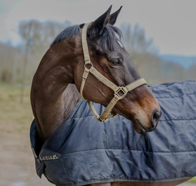 Net Relief Riding Mask