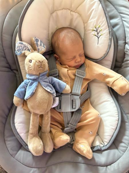 Peter Rabbit toy