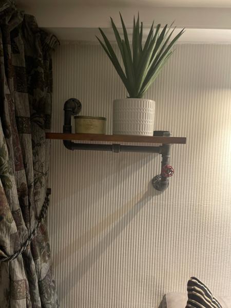 Gorgeous pipe shelf