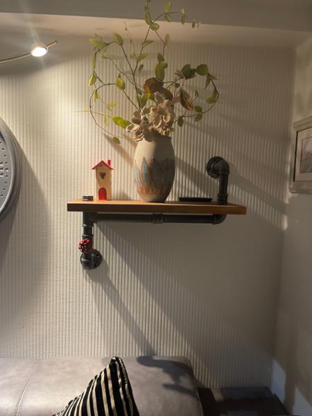 Gorgeous pipe shelf
