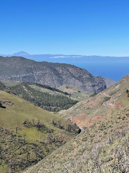 Your holiday: Gran Canaria Guided Walking