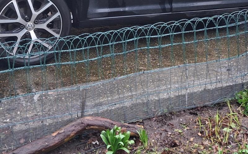 Wire fencing on a roll