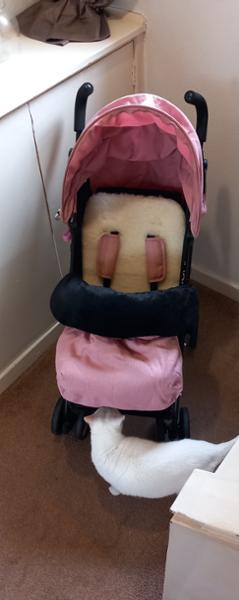 Merino Wool Chair Liners (Pushchair)