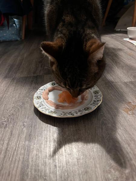 Lickelix is always popular with my cat