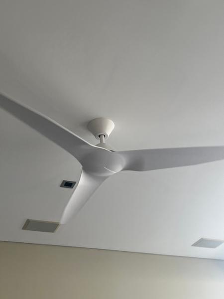 Love this fan!