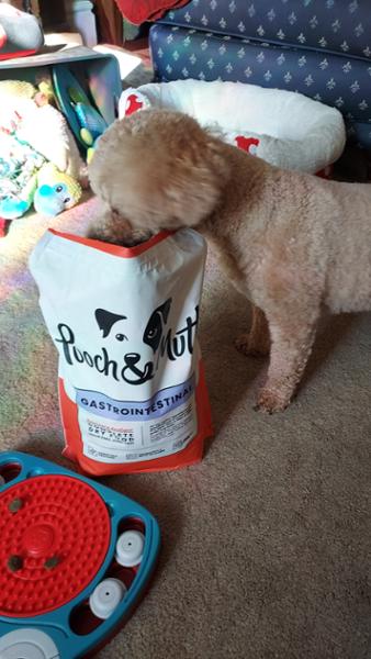 Gastrointestinal Dog Food For Dogs With Pancreatitis | 10kg | Veterinary Dog Food | High Fibre Dog Food With Digestible Proteins | Pooch & Mutt