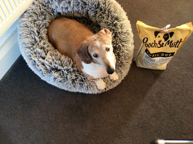 Pooch & Mutt Small Dog Food
