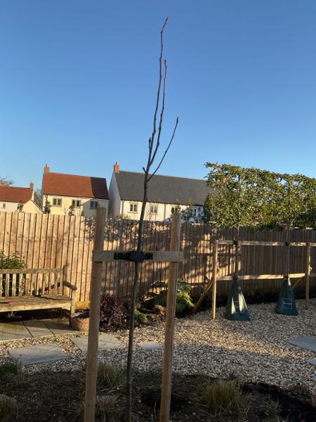 Great service from a caring nursery