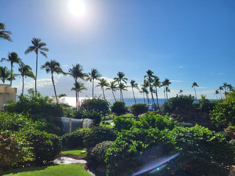 Wonderful Hawaiian Vacation