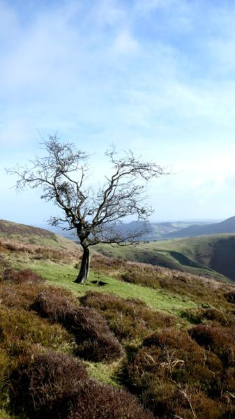 Your holiday: Shropshire Hills  - Self Guided Walking