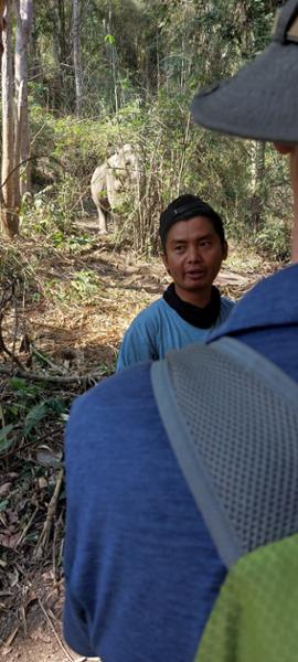 Memorable trip to Thailand with Selective Asia