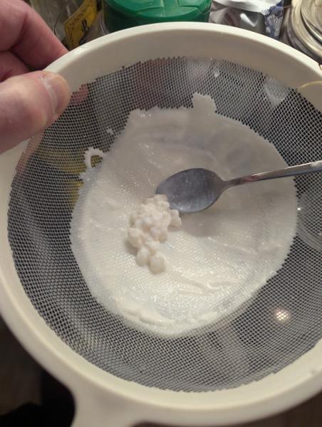 2.5g kefir grains - a great starter package