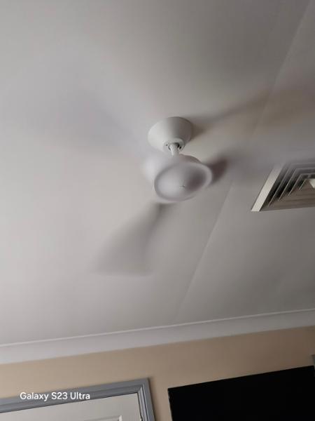 Great Ceiling Fans but shop around