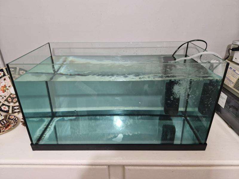 Fantastic tank