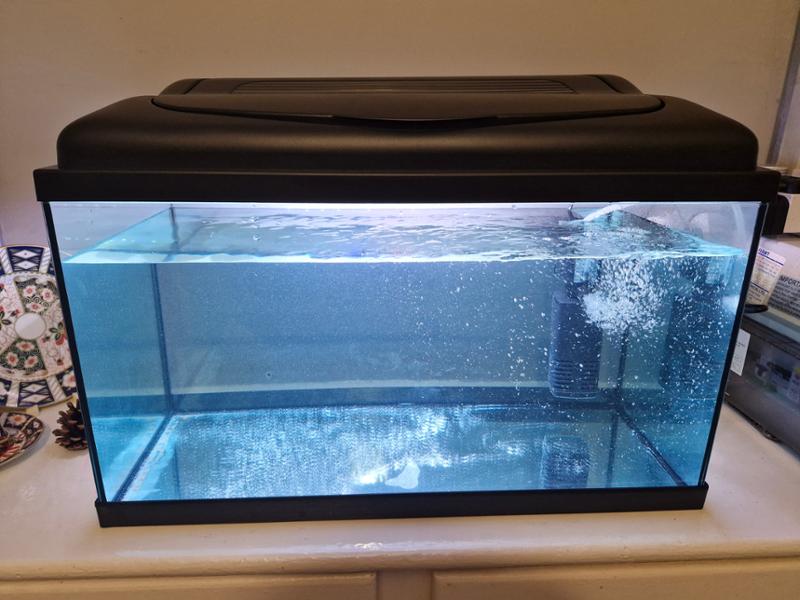 Fantastic tank