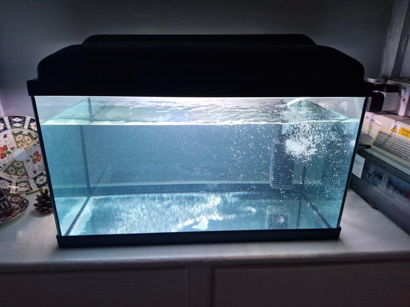 Fantastic tank