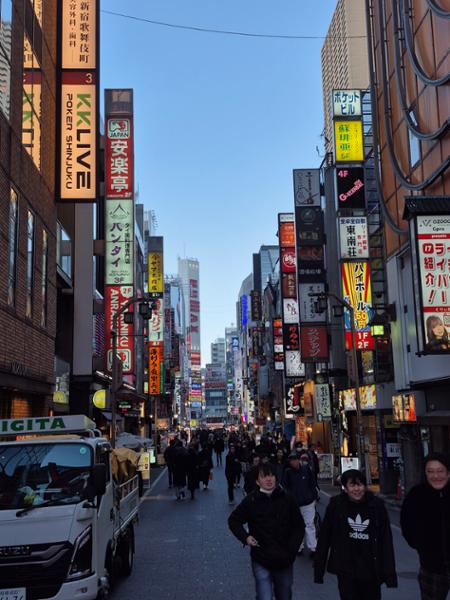 5238-Ultimate Japan