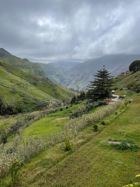 Your holiday: Gran Canaria Guided Walking
