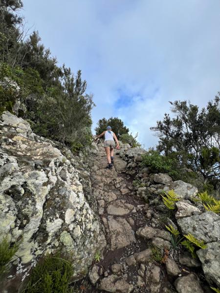 8-day Tenerife Self-drive Walking Holiday