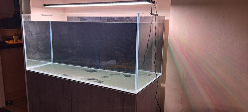 Aquasys 300 fish tank
