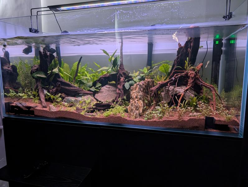 love this tank 😃