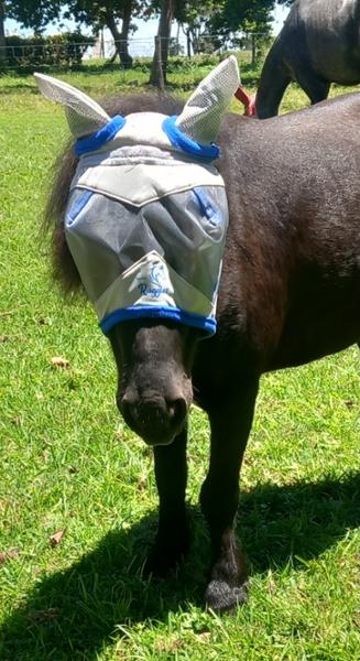 Mini fly mask, great quality, soft fabric over poll