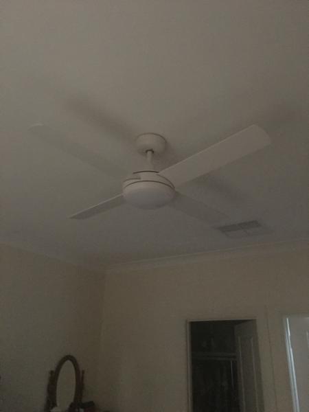 Fan 2025