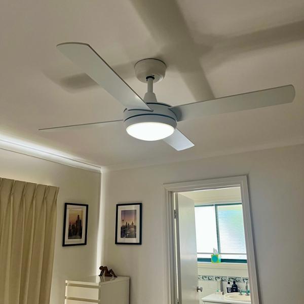 The perfect purchase. Love these ceiling fans!