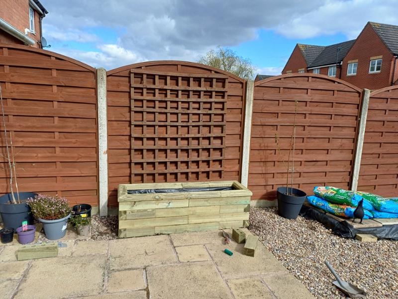 Great raised beds