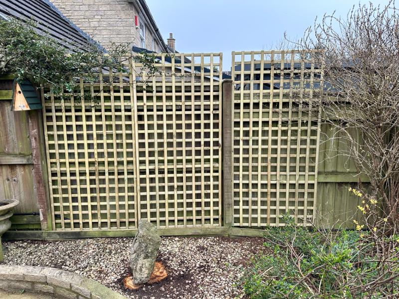 Trellis success