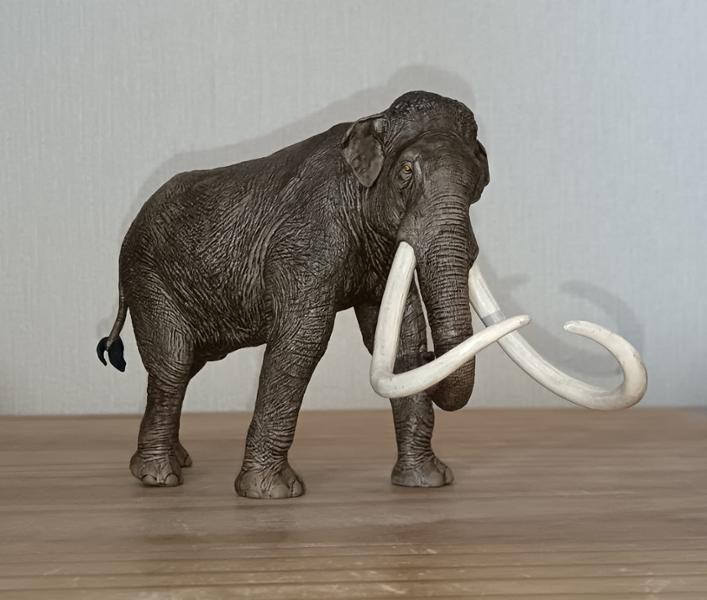 Best Website for figures.