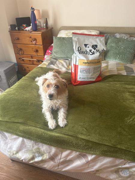 Hepatic Dry Dog Food | 1.5kg | Prescription Dog Food For Liver Disease | Veterinary Dog Food For Dogs With Liver Problems | Pooch & Mutt