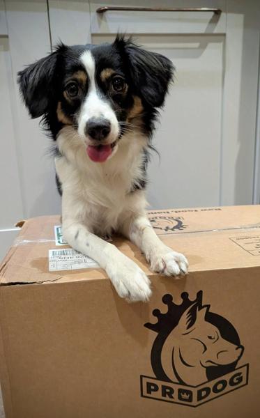 Great food, great delivery, dogs love it
