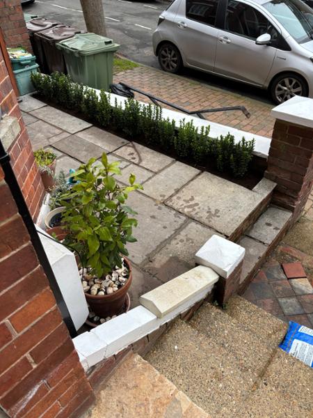 Healthy plants, good price and well delivered.