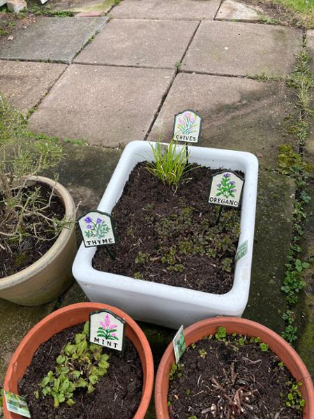 Beautiful herb markers