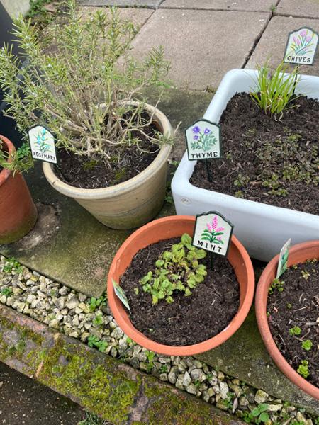 Beautiful herb markers