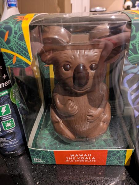 Wawah the Koala Milk Chocolate Character