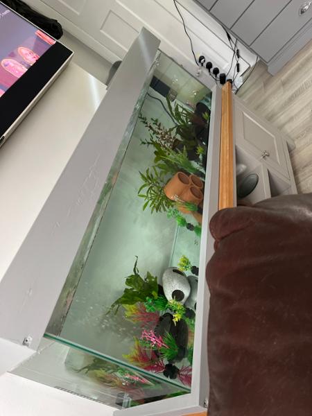 Clear seal tank