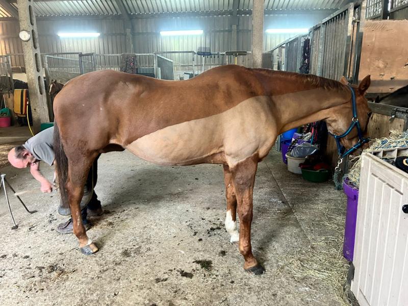 Blue Chip & Keokate