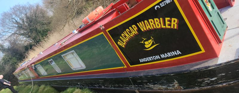 Your recent holiday on Warbler - Blackcap Warbler from Anderton