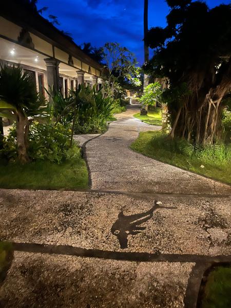 3 Centre Bali Holiday !!!! Fabulous memorable experience