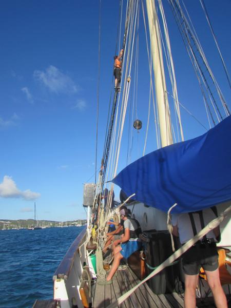 A great trip won Blue Clipper in the Caribbean.