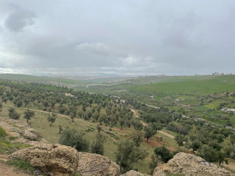 Imperial Cities of Morocco