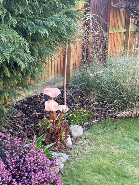 Wooden mushrooms