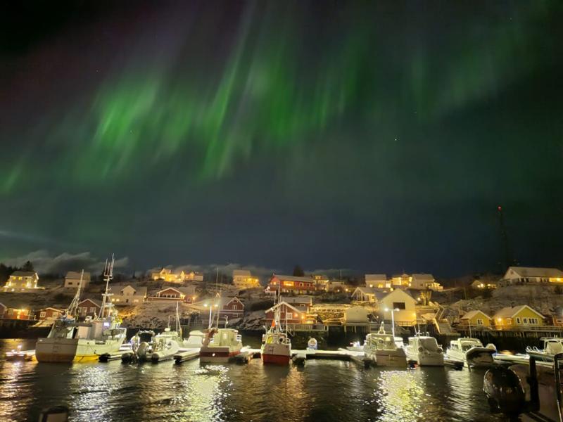 Amazing Lofoten