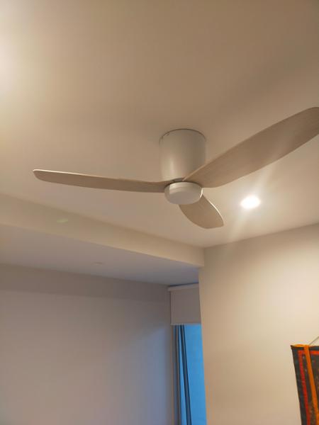 Reasonably priced high performing fan