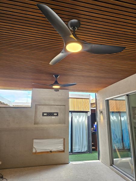 Ceiling fan