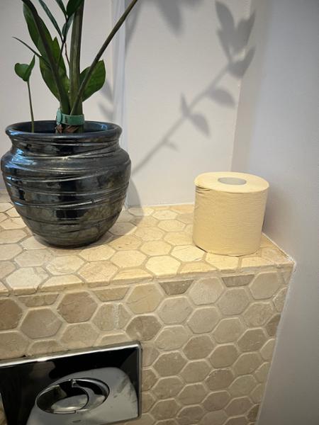 100% natural bamboo toilet rolls - 48 extra long rolls (unwhitened)