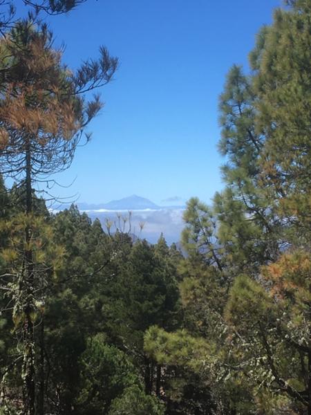 Your holiday: Gran Canaria Guided Walking