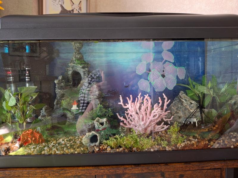 Fishtank 57 litres